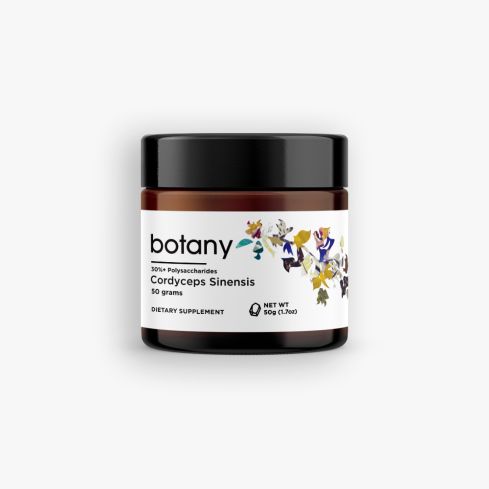 Caterpillar Fungus (Cordyceps Sinensis) | 30%+ Polysaccharides – Powder, 50g
